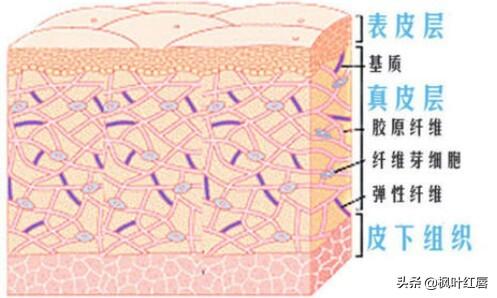 皮肤卡粉浮粉怎么改善，怎么解决秋冬皮肤干燥卡粉、浮粉等问题