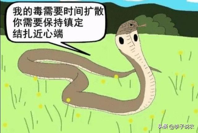 无毒蛇咬人吗:菜花蛇无毒，为什么被称为百蛇之王？