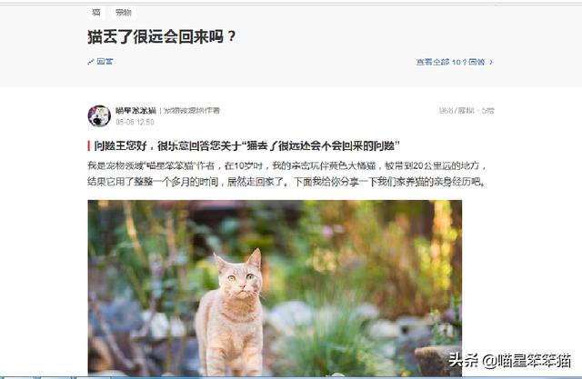 根据宠物昵称查找对应宠物:能辨别狗是什么品种的软件？