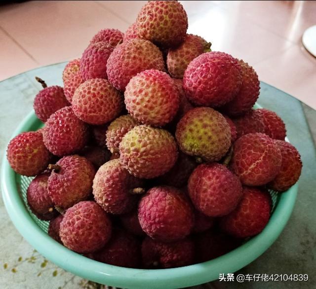 荔枝是热性的还是凉性的:孕妇可以吃荔枝和龙眼吗吃了以后怎么降火