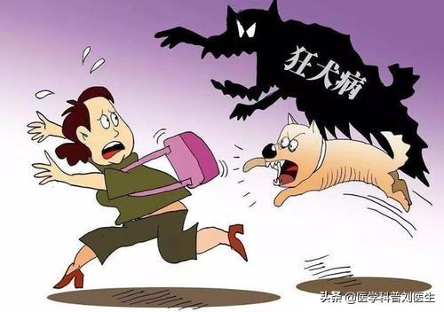 狂犬病发作视频:狂犬病究竟有多可怕，真的是发病必死么？