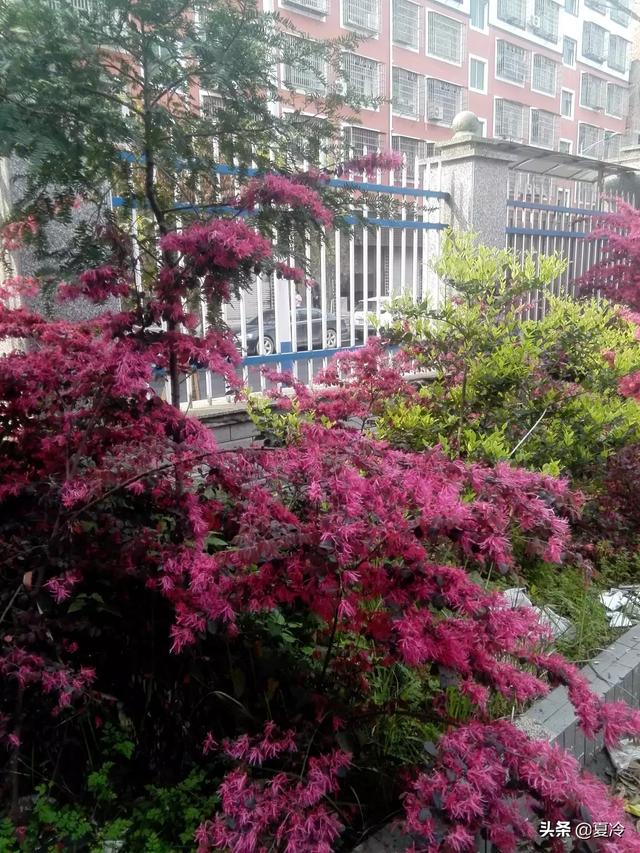 人死不满一年不能看墓地,老年人多少岁可以不上坟？