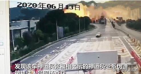 地震搜救犬全部处死无弹窗:你对在城市小区里养狗怎么看？