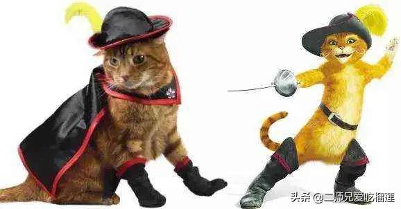穿鞋子的猫 国语:有什么有关猫的动画片吗？