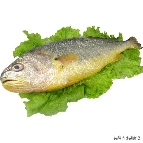 头条问答 - 每天做饭,囤货必不可少,想问海鲜肉类怎么存才更好?