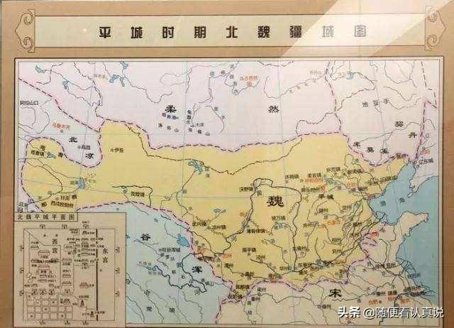 求苏格兰折耳猫的小说txt:折耳猫吃什么猫粮比较好？