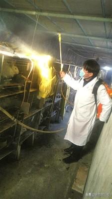 兔舍消毒用什么？