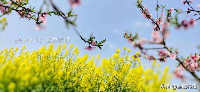吸人眼球的<a href=https://maguai.com/list/256-0-0.html target=_blank class=infotextkey>朋友圈</a>内容:宣传文案该如何抓住用户眼球？