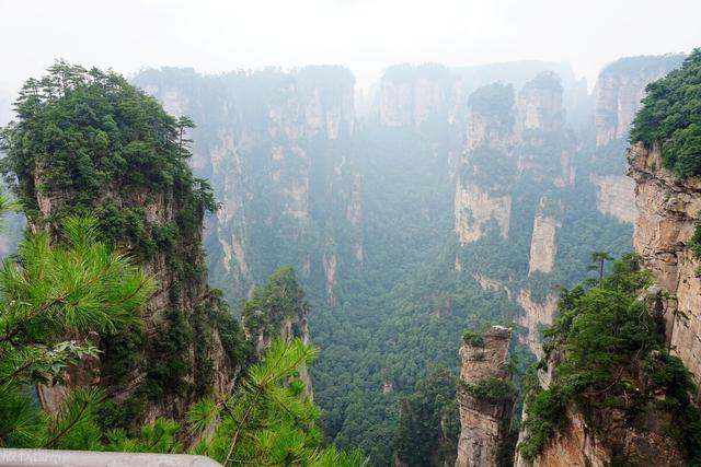 世界上最后一只麒麟张家界，张家界景点怎么样，大家来说说