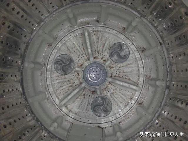 洗衣机里面根本没有我们想象的那么干净,该怎么清理？