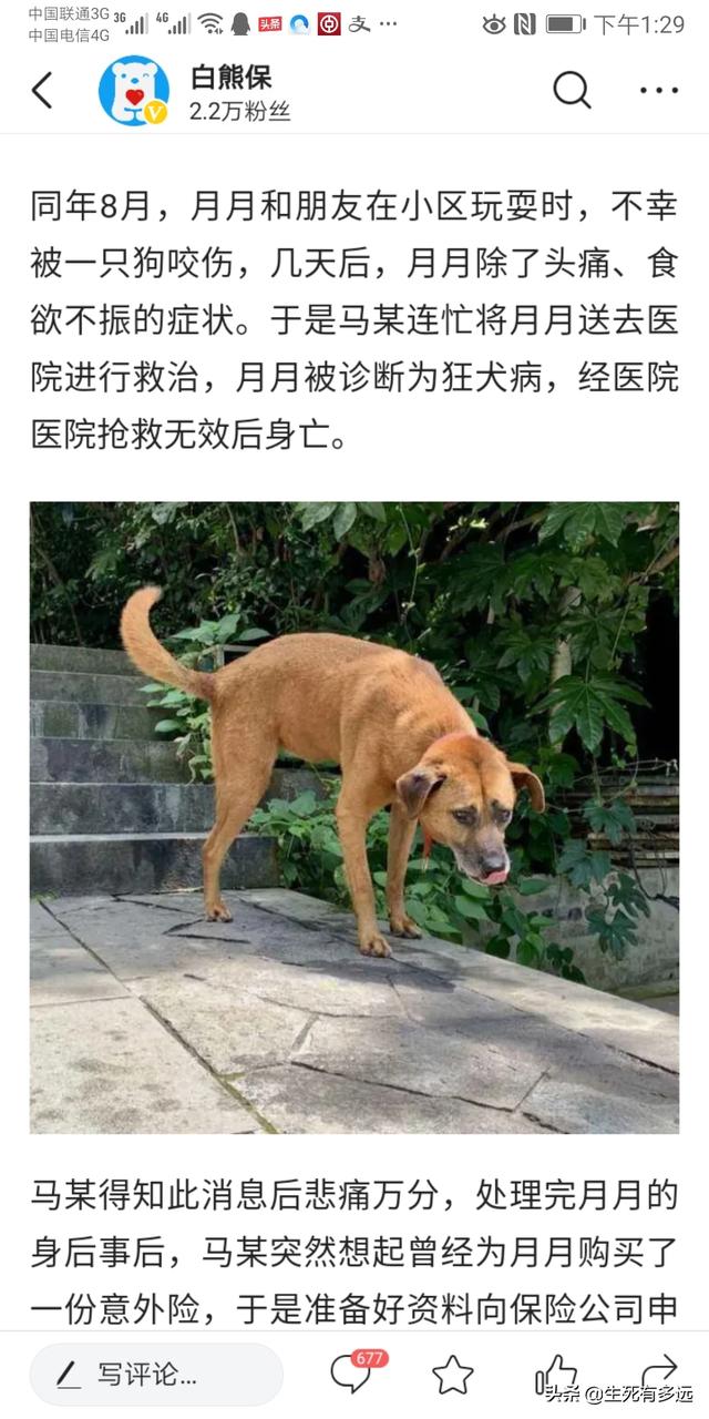 六岁女童被恶狗咬死:疫情期，四川2岁女童因被流浪狗咬伤得狂犬病离世，你怎么看？