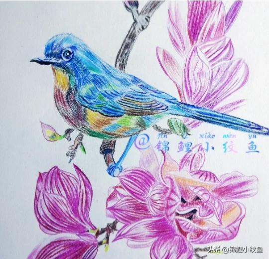 朋友去上大学,我学美术的想画一幅画送给远去的他,却不知画什么好,有哪些推荐的呢？