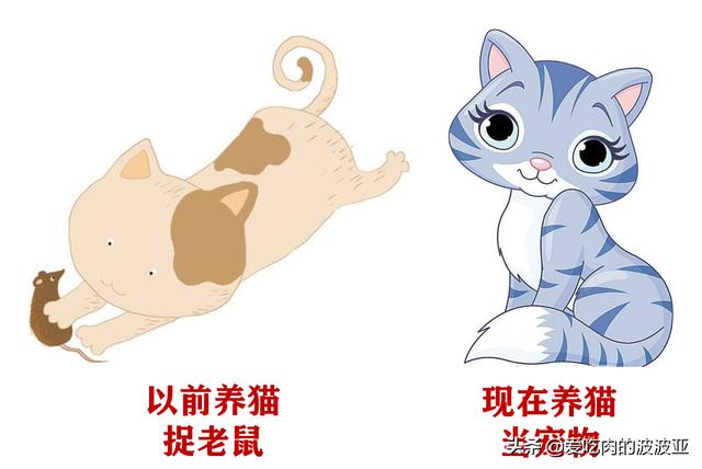 水煮活猫残忍图片:为什么越来越多的人相信猫吃人吃的东西就会死？