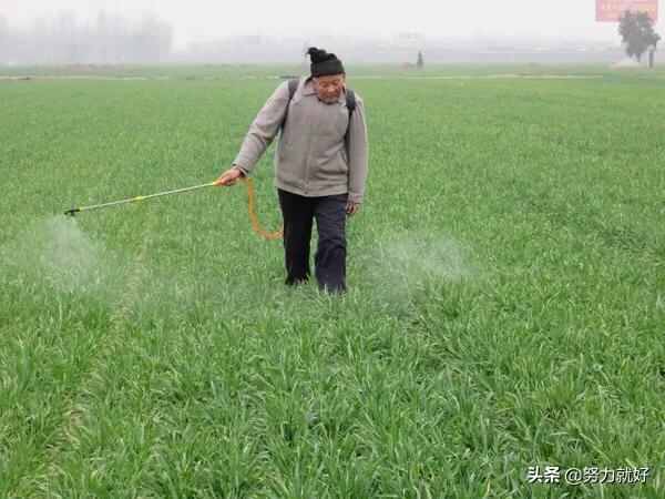 农药稀释倍数计算公式,怎样进行农药的稀释计算？