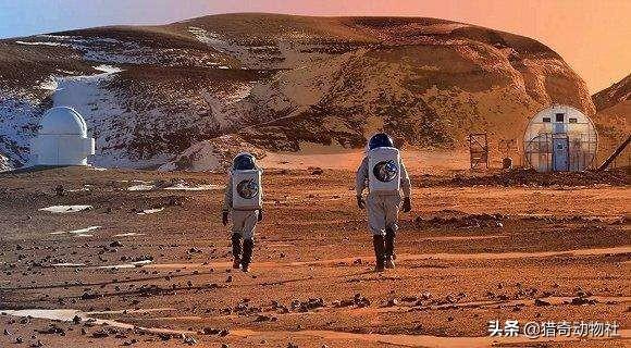 火星生命:火星上曾经有生命存在过吗？
