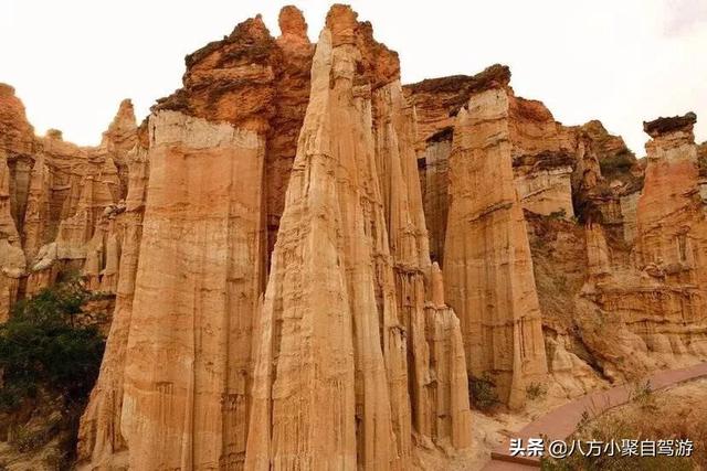 白尾鸢视频:白尾鸢 从山东省潍坊市自驾到山西省旅游怎么走好，第一站大同市？