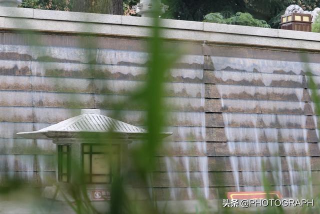 命中注定我爱你纪宝贝是什么狗:命中注定我爱你男女主是什么样子的存在？