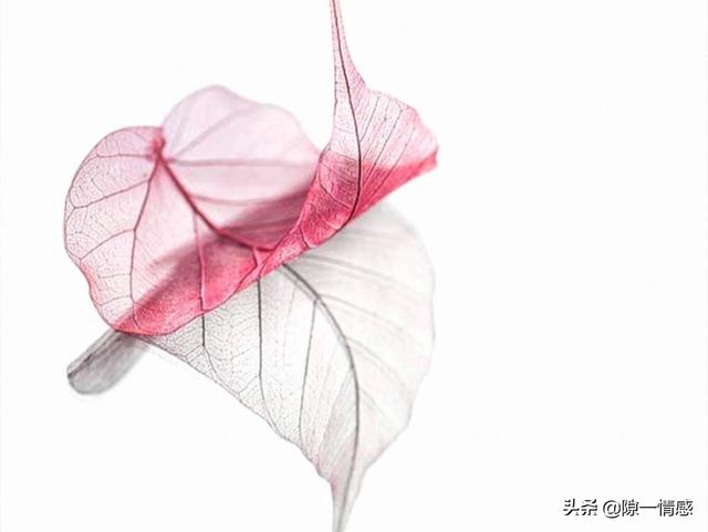 粉晶招姻缘吗
      粉晶招姻缘吗