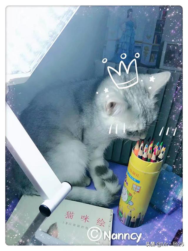 猫发情 叫声:猫发情除了会乱撒尿和乱叫，还有其他表现吗？