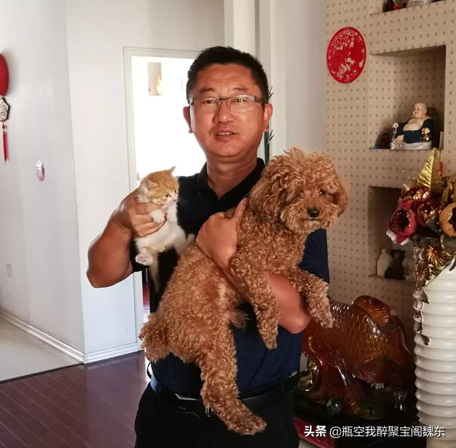 我和我的宠物店的男人们:喜欢养猫的男人是什么性格？