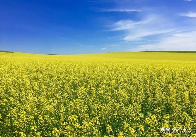 天堂芃周德东有声小说，夏天适合去哪里旅游（国内）