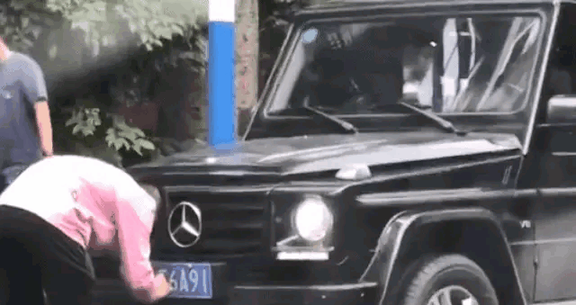 中国松狮俱乐部官网:中华田园犬升级为中国唐狗，对此你怎么看？ 中国松狮俱乐部