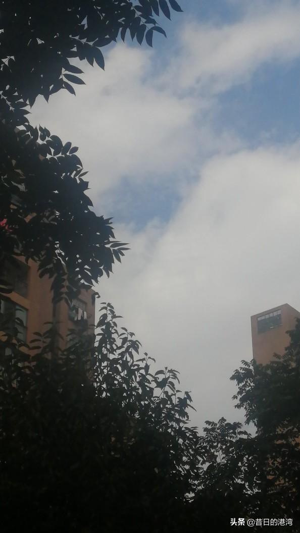 玛丽科尔文:如何成为公司不可替代的员工