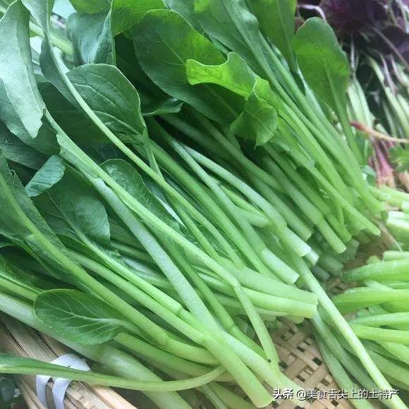 头条问答 菜心几天淋一次水最佳 14个回答
