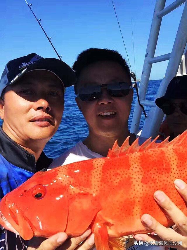 那里能钓到潜水艇鱼:青岛地区都有哪些可以海钓的好地方？都能上什么品种的鱼？