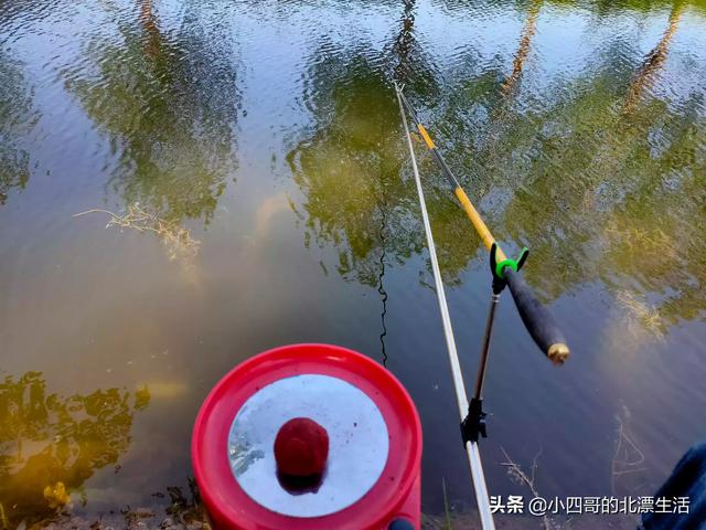 中国为什么会兴起钓鱼热，为什么有些人会开车几百里外去钓鱼