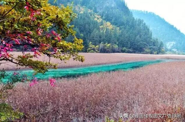 重庆周边<a href=https://maguai.com/list/52-0-0.html target=_blank class=infotextkey>旅游</a>:重庆周边的景点你会选择去哪个？