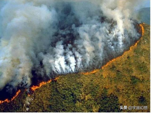 哥伦比亚盆地侏儒兔已经灭绝:如果野兔灭绝了，会对生物链有多大的影响？