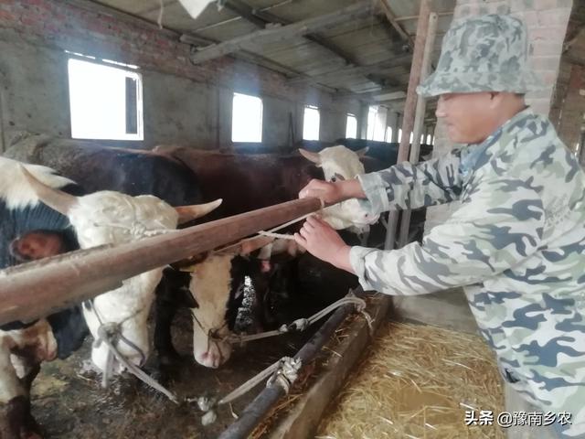 北京松狮养殖场:在农村，怎样才能申请办养殖场？