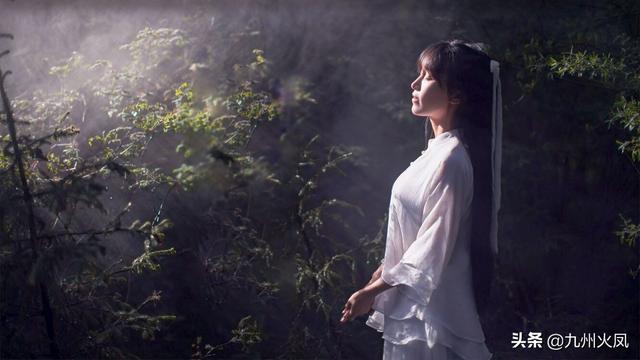七舅脑爷个人资料:自媒体大咖是怎么成长起来的？