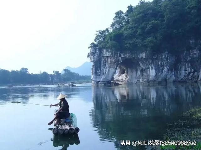 渡渡鸟现在还有多少只，现在的农村，还有很多乌鸦吗