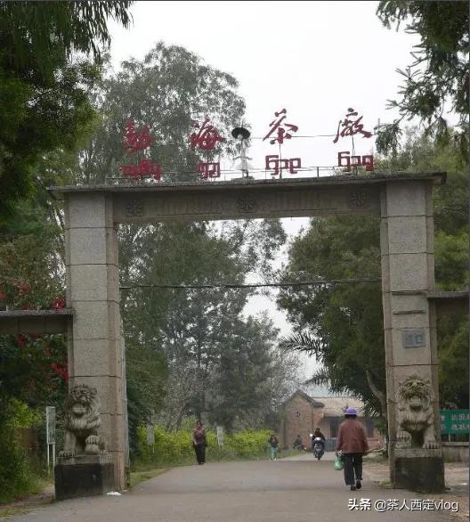 你认为茶品牌一哥是谁？