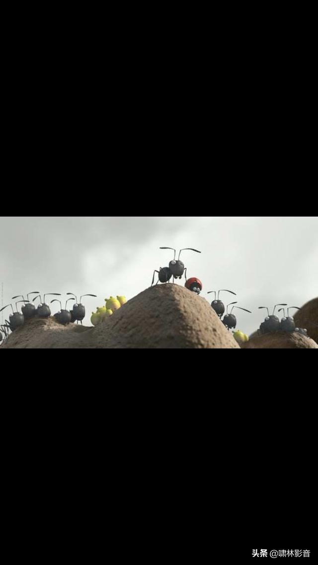 关于动物的电影18部:动物电影完整版免费看 看过哪些以动物为主题的恐怖惊悚片？