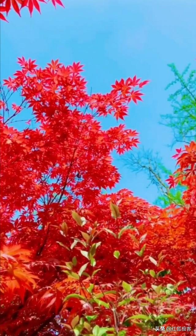 你曾写过哪些难忘的诗词？插图25