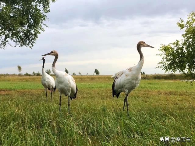 张家界野人:关于去湖南张家界等等地方旅游可能会下雨怎么办，急？