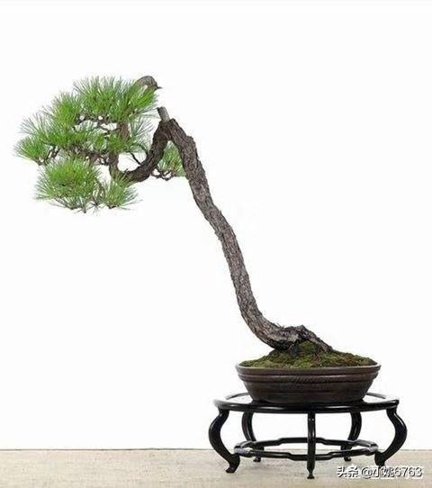 有的男人整天沉醉酒场,牌场,烟场,等等…每天照样如此,这样的男人还能要吗？