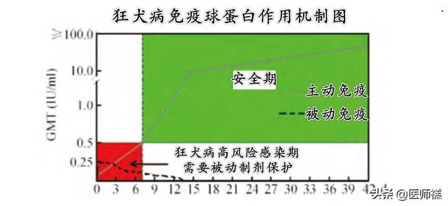 被猫抓伤多少天过危险期了:被猫抓超过3个月有狂犬病吗？