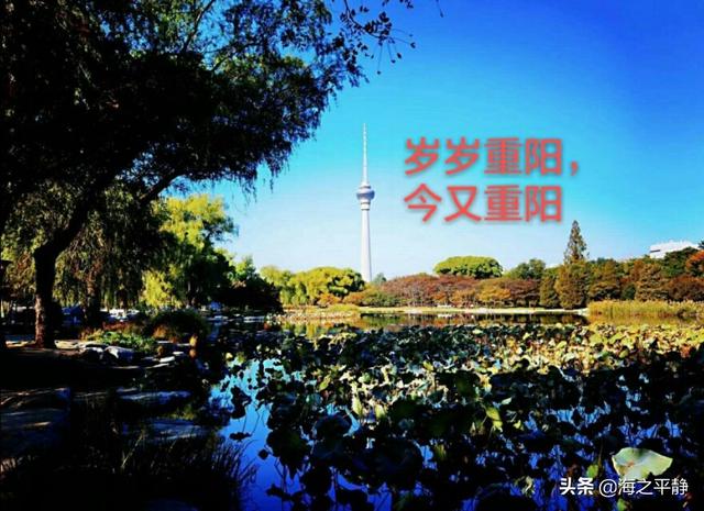 有人说,重阳节就是老年节,这个说法对么？