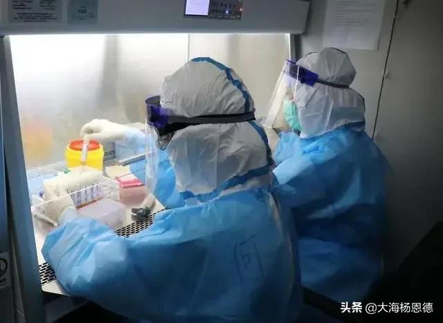 郑州全员核酸检测结果有用吗:郑州第五轮全员核酸检测结果