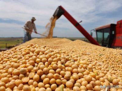 中国为什么不去俄罗斯租地种大豆？插图3