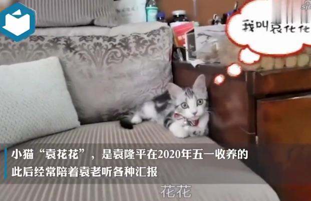 丁兰兰:袁老走了，袁花花怎么办？