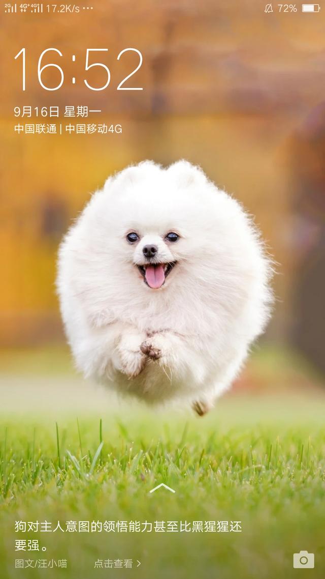 透红小丑:敢不敢在头条晒一下初恋以及和那个她（他）的有关故事？
