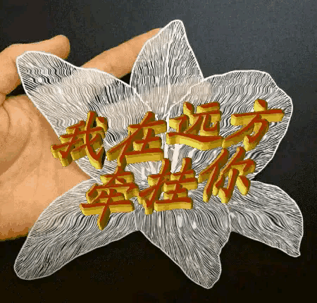 宠物与我:你觉得你和你的宠物之间是平等的关系吗？