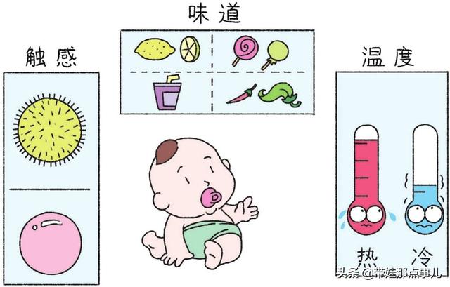 婴幼儿的喂养知识:八个月的宝宝在喂养上要注意什么？