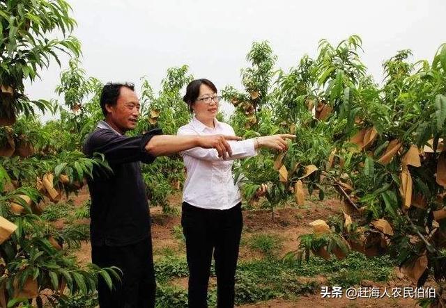 最适合穷人的创业项目:2010年最适合大<a href=https://maguai.com/list/68-0-0.html target=_blank class=infotextkey><a href=https://maguai.com/list/68-0-0.html target=_blank class=infotextkey>学生</a></a>的创业项目有哪些？