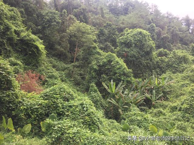 看过电影《羞羞的铁拳》后,你有何感想？